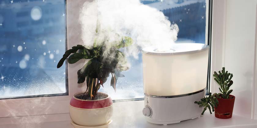 Image result for humidifier for winter
